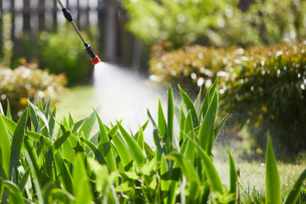 24/7 Emergency Mosquito Control experts in Rancho Viejo, TX