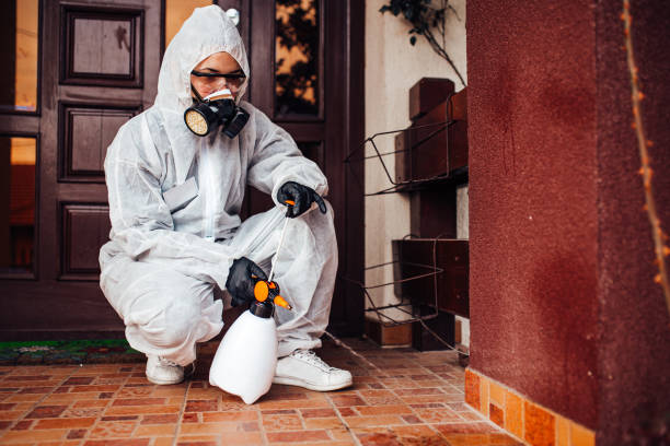 Reliable Mosquito Control contractor in Rancho Viejo, TX by Show Me Pest Control